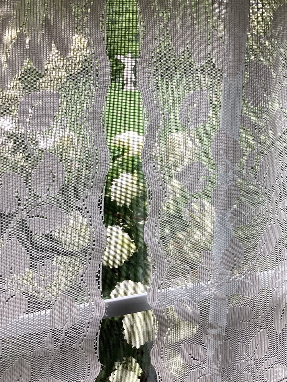 2 White Lace Sheer Floral Rod Pocket Curtain Panels